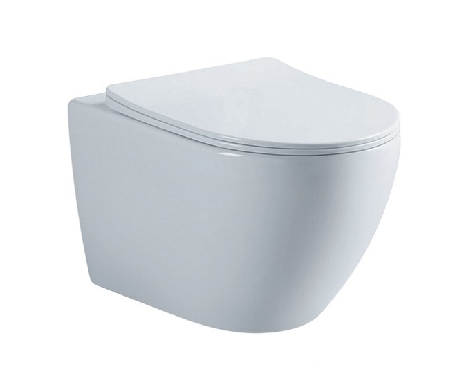 WallHungToilet