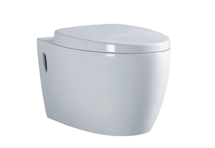 WallHungToilet