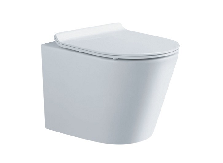 WallHungToilet