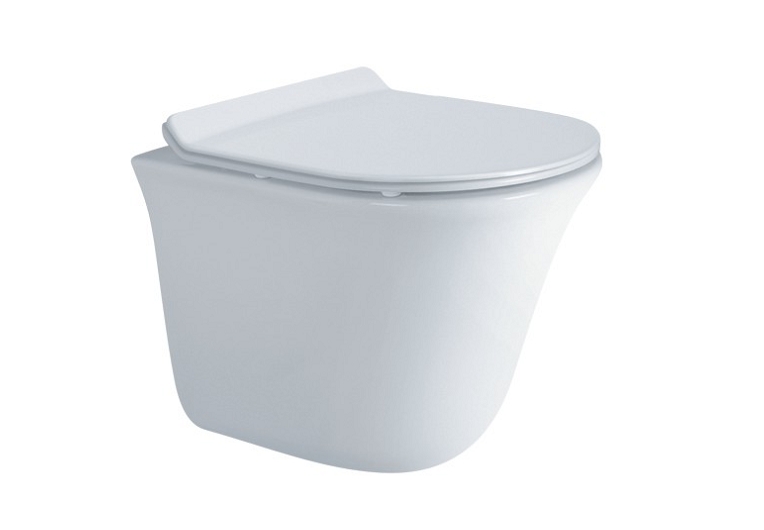 WallHungToilet