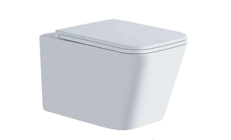 WallHungToilet