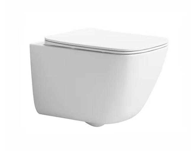 WallHungToilet