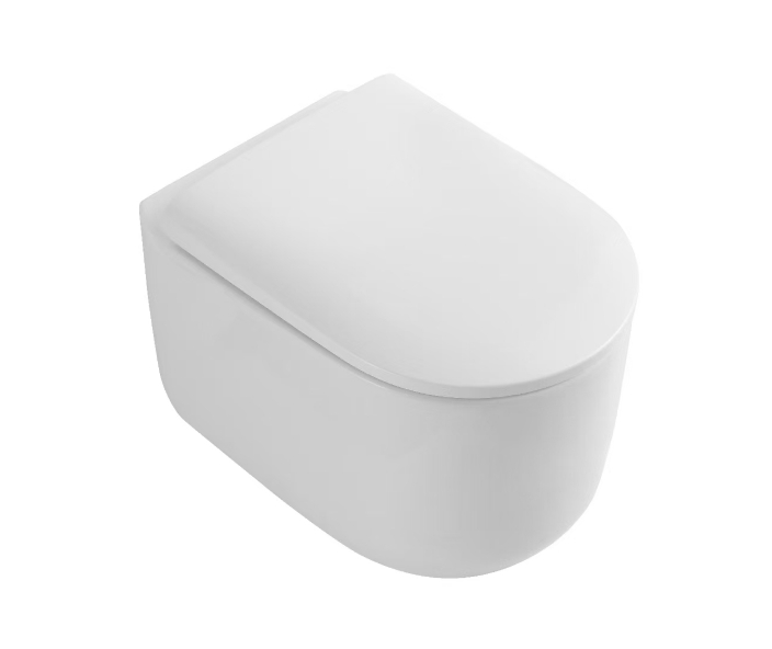 WallHungToilet